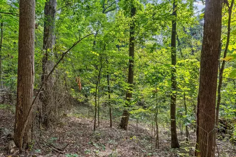2255 Nickajack Rd, Flintstone, GA 30725 photo 2