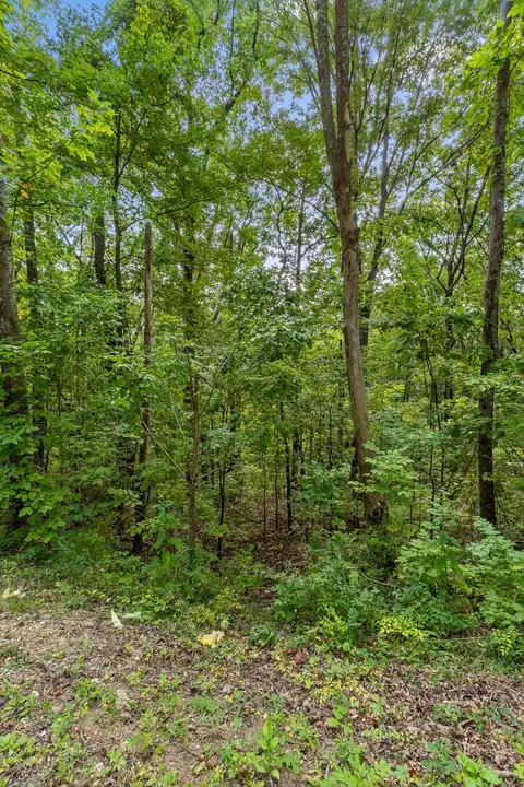2255 Nickajack Rd, Flintstone, GA 30725 photo 19