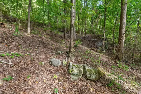 2255 Nickajack Rd, Flintstone, GA 30725 photo 15