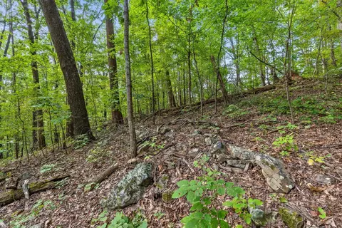 2255 Nickajack Rd, Flintstone, GA 30725 photo 11