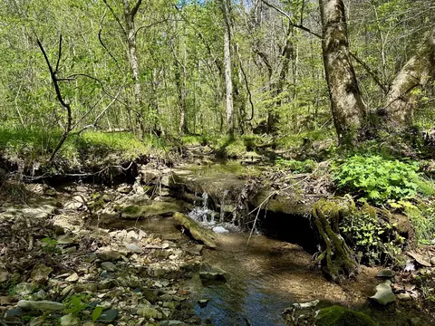 0 Ponder Rd, Smithville, TN 37166