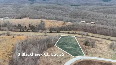 0 Blackhawk Ct, Waverly, TN 37185