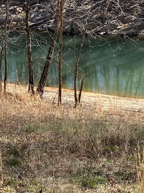 0 Wagon Ln, Speedwell, TN 37870