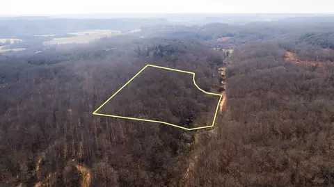 0 Opossum Hollow Rd, Primm Springs, TN 38476
