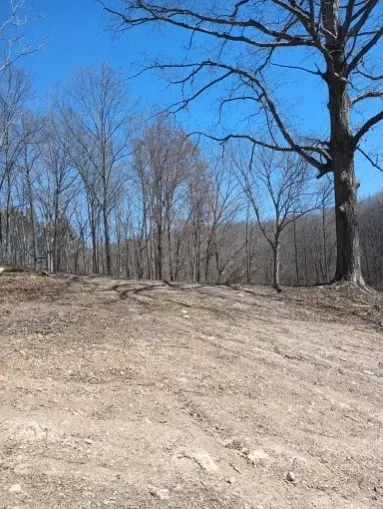 5964 Garrison Rd, Franklin, TN 37064 photo 28