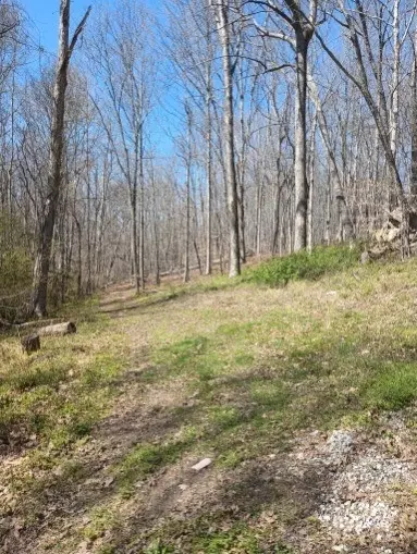 5964 Garrison Rd, Franklin, TN 37064 photo 29