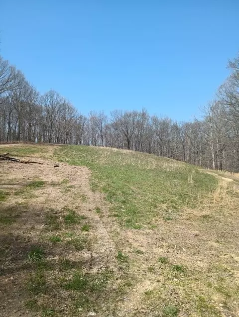5964 Garrison Rd, Franklin, TN 37064 photo 33