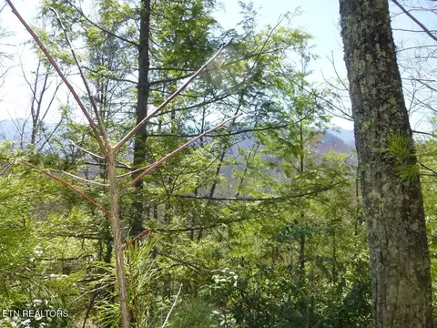 2425 Sonshine Ridge Rd, Cosby, TN 37722