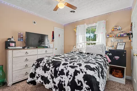 Bedroom - 3358 Hwy 52 E, Bethpage, TN 37022 photo 5 of 6