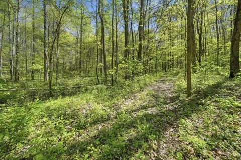 0 Green Rd, Beechgrove, TN 37018