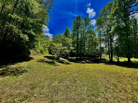 1294 Rafter Rd, Tellico Plains, TN 37385