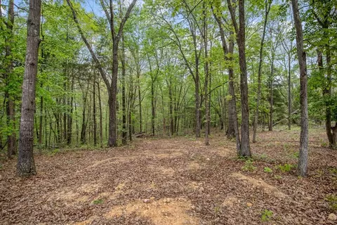 Exterior - 555 Parrish Ln, Mcewen, TN 37101 photo 7 of 14