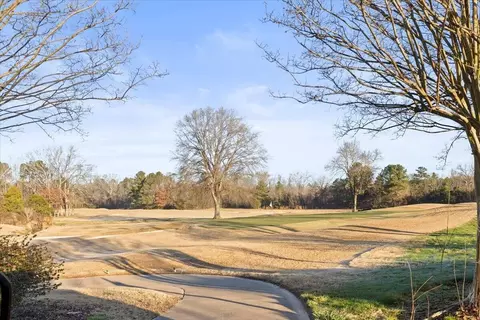 8043 Slugger Way, Chattanooga, TN 37421 photo 37
