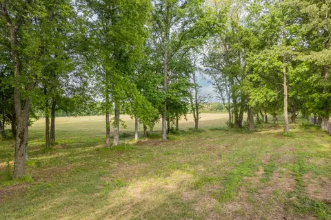 0 Dooley Rd, Ethridge, TN 38456 photo 16