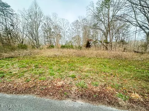 1102 Mountain View Ln, White Pine, TN 37890