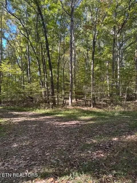 1210 Lee Pl, White Pine, TN 37890