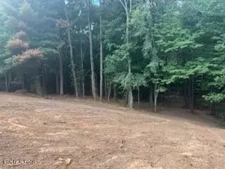 1674 Tilley Rd, Talbott, TN 37877 photo 6