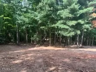 1674 Tilley Rd, Talbott, TN 37877 photo 7