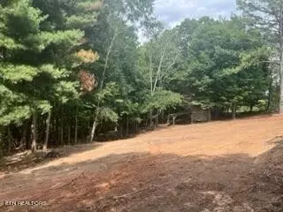 1674 Tilley Rd, Talbott, TN 37877 photo 4