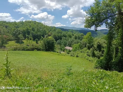 0 Holly Mountain Way, Hartford, TN 37753