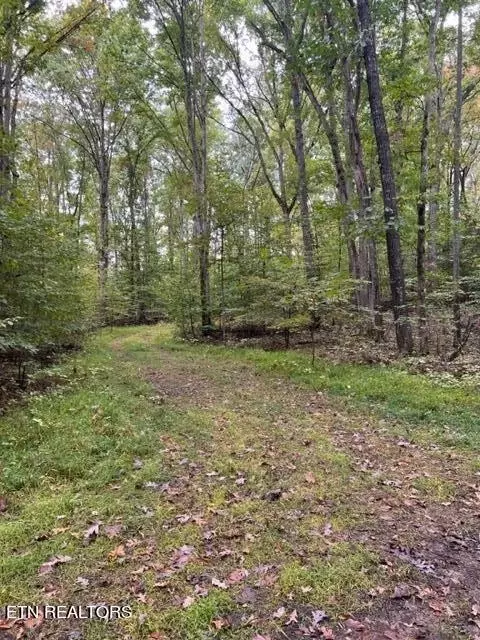 1205 1206 Pl, White Pine, TN 37890