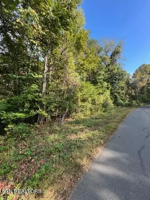 1015 Mountain View Ln, White Pine, TN 37890