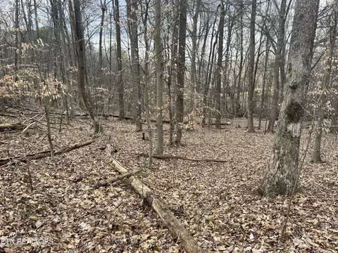 15 Delainey Dr, Kodak, TN 37764