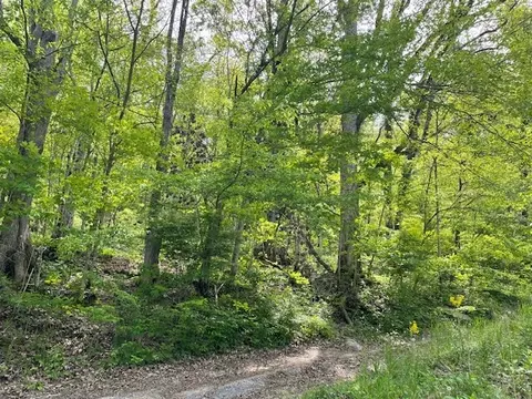 0 Bruer Dr, Smithville, TN 37166