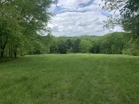 6816 Drumright Hills Ln, College Grove, TN 37046