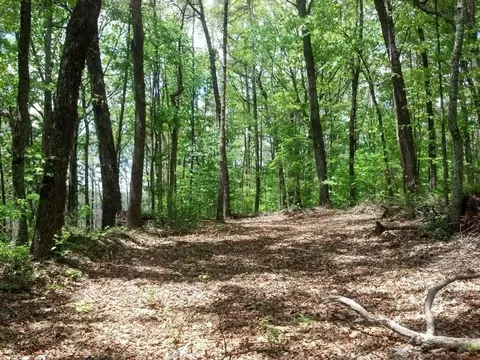 0 Sequatchie Mountain Rd, Sequatchie, TN 37374 photo 5