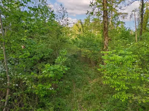 0 Sequatchie Mountain Rd, Sequatchie, TN 37374 photo 8