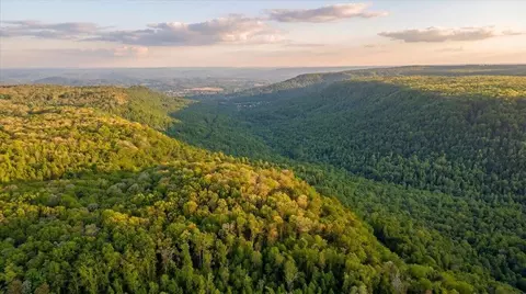 0 Sequatchie Mountain Rd, Sequatchie, TN 37374 photo 22