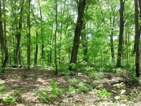 0 Sequatchie Mountain Rd, Sequatchie, TN 37374 photo 9