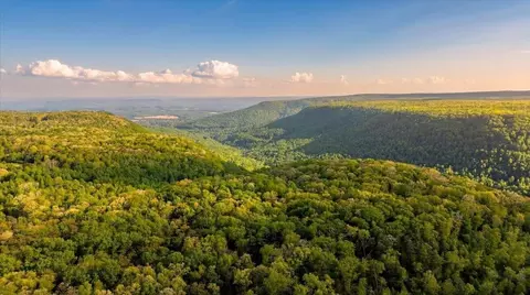 0 Sequatchie Mountain Rd, Sequatchie, TN 37374 photo 23