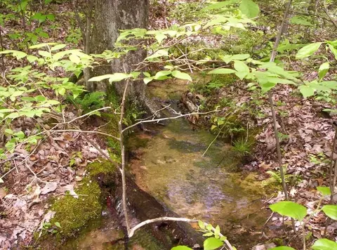 0 Sequatchie Mountain Rd, Sequatchie, TN 37374 photo 6