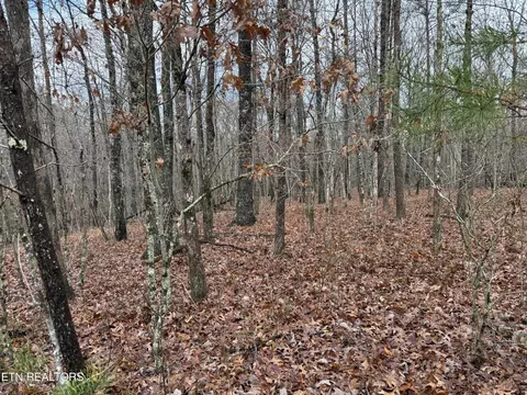 0 Icy Cove Tr, Monterey, TN 38574