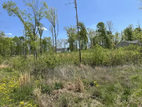 0 Murrell Rd, Dickson, TN 37055 photo 2