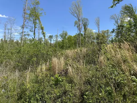 0 Murrell Rd, Dickson, TN 37055 photo 5