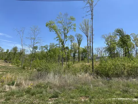 0 Murrell Rd, Dickson, TN 37055 photo 9