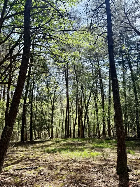 0 Timberwood Trce #LOT 310, Monteagle, TN 37356
