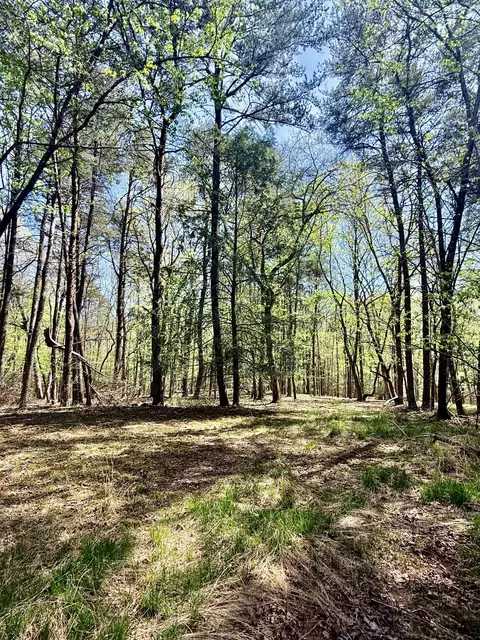 0 Timberwood Trce #LOT 310, Monteagle, TN 37356