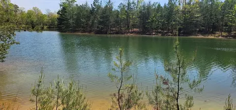100 Bluff View Dr, Dunlap, TN 37327