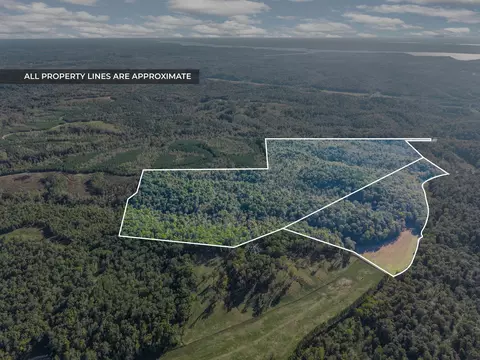 0 Cox Holw, Dover, TN 37058