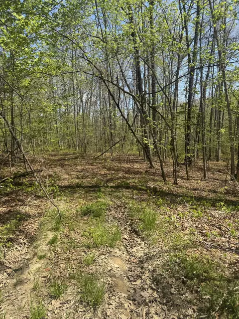 0 Doe Creek Lake Dr, Sparta, TN 38583