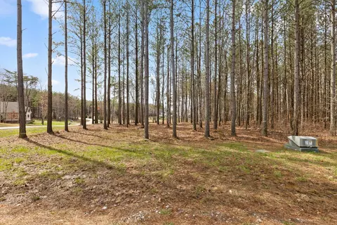 0 Pine Knot Pass, Jasper, TN 37347 photo 10