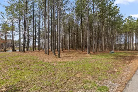0 Pine Knot Pass, Jasper, TN 37347 photo 9