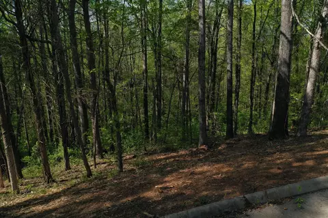 0 Elm Lane Lot 16 Ln, Sweetwater, TN 37874