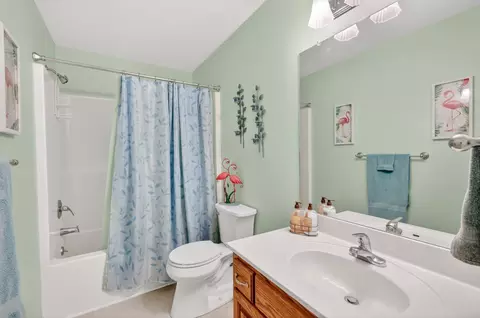 Bath - 590 Allisona Rd, Eagleville, TN 37060 photo 2 of 3