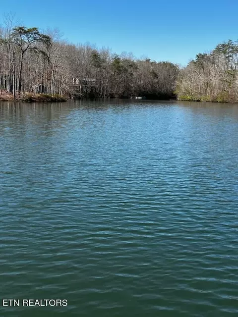 41 Crystal Pt, Monterey, TN 38574