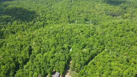 578 Cyclone Ln, Waverly, TN 37185